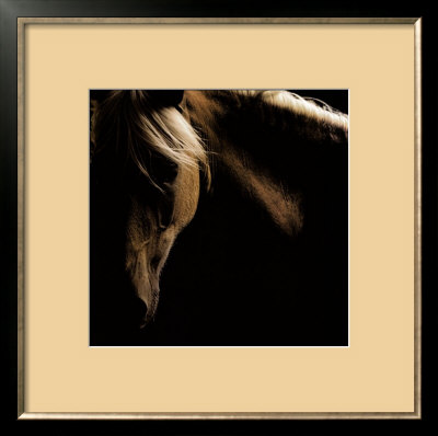 Spirit Horse