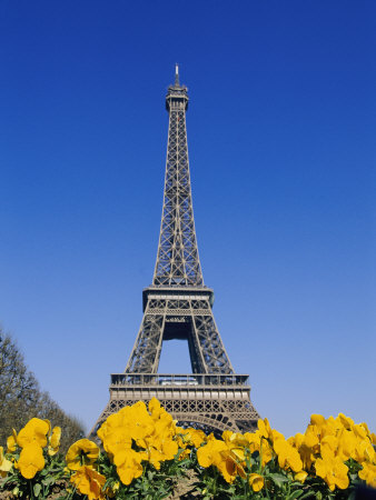 Eiffel Tower and Yellow Pansies