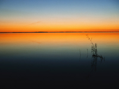 Buy Still Waters of Lake at Twilight, Muritz National Park, Germany at AllPosters.com