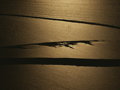 Buy The Setting Sun Reflects off a Beach in Olympic National Park at AllPosters.com