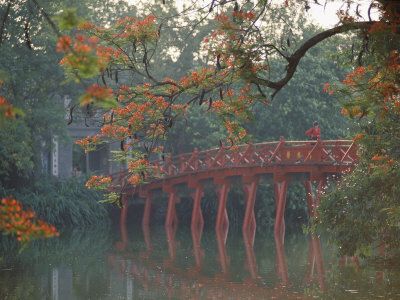 Tamarind Blossoms Blooming on the Banks of a Lake