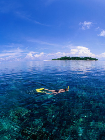 Woman Snorkelling Over Sangalaki Island Reef, East Kalimantan, Indonesia