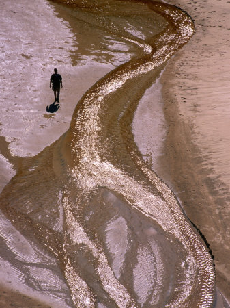 Hiker Walking along Telok Panden Kecil in Bako National Park, Sarawak, Malaysia
