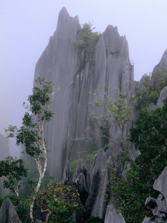 The Pinnacles Limestone Fores, from the Lookout on Gunung Api, Gunung Mulu NP, Sarawak, Malaysia