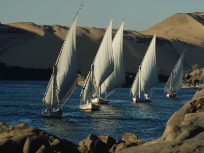 Buy Fleet of Feluccas Parade down the Nile River near Aswan at AllPosters.com