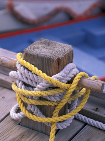 Knots Around Post, St. Thomas, Caribbean