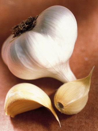 Garlic Poster