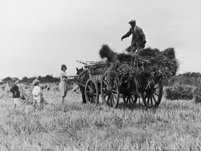 Buy Three Children Helping Their Farmer Father to Bring in the Hay by Horse and Cart at AllPosters.com