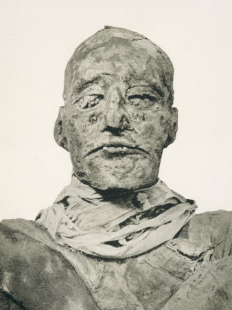 Rameses III Pharaoh Photograph of the Head of His Mummy