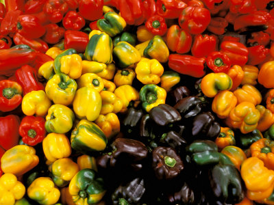 Peppers, Ferry Building Farmer
