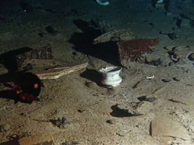 Buy Ceramic Bowl and Other Debris from the R.M.S. "Titanic" at AllPosters.com