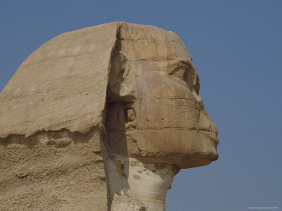 Buy A Close View of the Head of the Great Sphinx at AllPosters.com