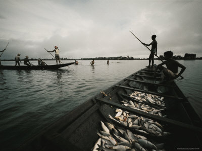 Buy Fishermen on Chingri Ghata at AllPosters.com