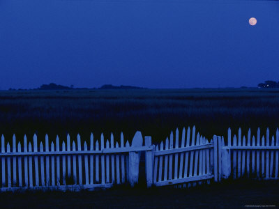 Buy Moon and Picket Fence at Rhodes Point at AllPosters.com