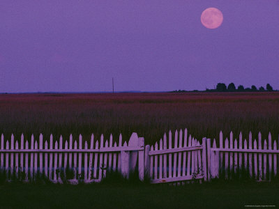 Buy Moonrise over Smith Island at AllPosters.com