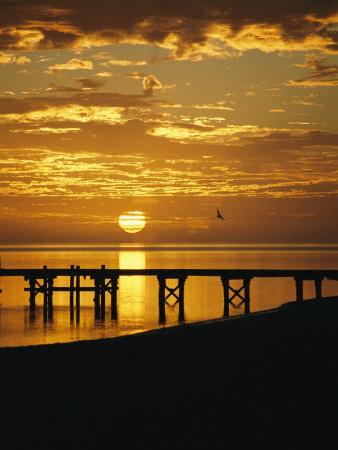 Buy Sunset over a Silhouetted Dock at AllPosters.com