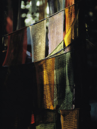 Buy Buddhist Prayer Flags Hang in the Trees in Darjeeling at AllPosters.com
