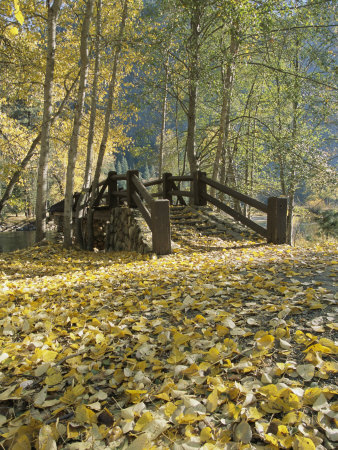Buy A Sentinel Meadow Footbridge Blanketed in Autumn Foliage at AllPosters.com