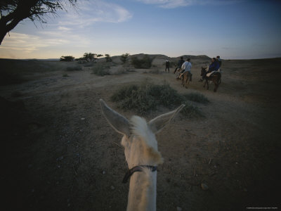 Archaeologists on Donkeys Follow the Path of Ancient Copper Traders