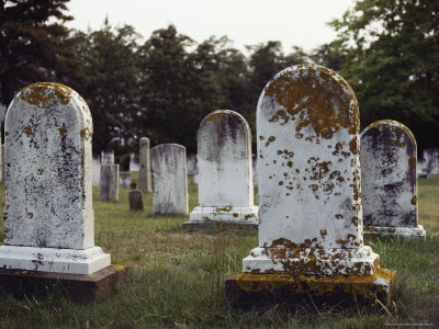 Buy View of Gravestones Covered with Lichens at AllPosters.com