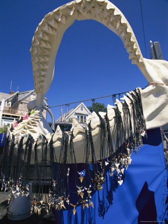Buy Shark Tooth Jewelry is Displayed on a Shark Jawbone at AllPosters.com