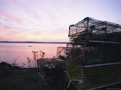 Buy Serene View with Lobster Pots Stacked on a Maine Shore at AllPosters.com