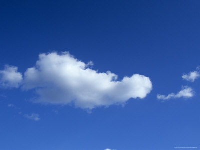 Buy A Cloud Floats by in a Blue Florida Sky at AllPosters.com