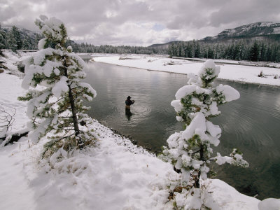 Buy A Fisherman Tries His Luck in the Yellowstone River at AllPosters.com