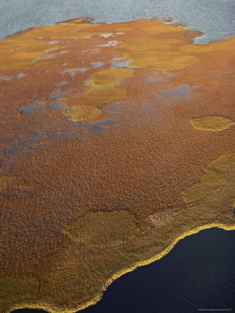 Buy Aerial View of Boggy Tundra at AllPosters.com