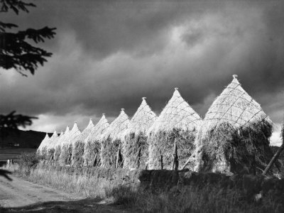 Storm Light on Grain Stacks Not Far from the Bridge of Cally