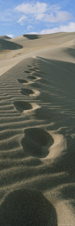 Footprints in the Sand