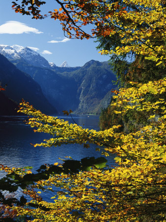 Autumn Foliage Scenic with River View, Berchtesgaden National Park