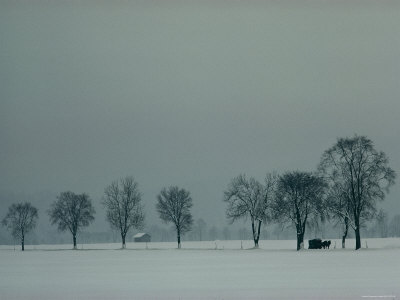 Buy Rural Scenic in Snow, Bavaria, Germany at AllPosters.com