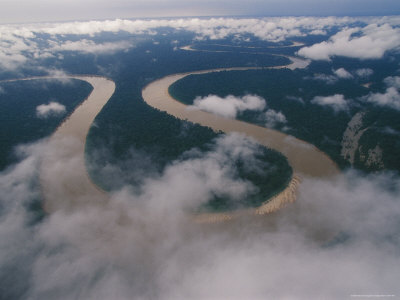 Buy The Itaquai River Winds Through a Remote Rain Forest at AllPosters.com