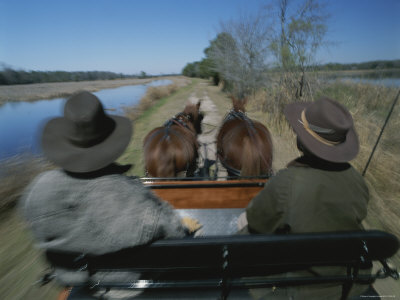 A Carriage Pulled by Two Horses Follows a Path Next to Water
