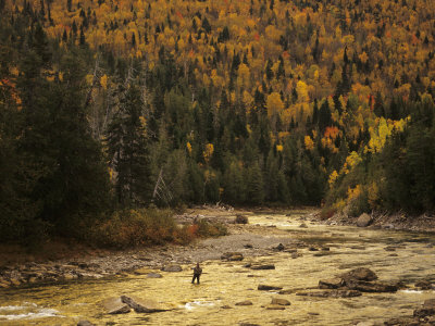 Buy Fly-Fisherman Lays Out a Perfect Cast in Search of Atlantic Salmon at AllPosters.com