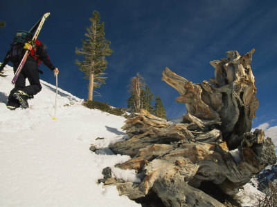 Buy Man Spring Skiing-Ski Mountaineering at AllPosters.com