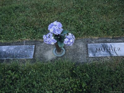 Hydrangea Flowers are Placed in a Graveside Vase