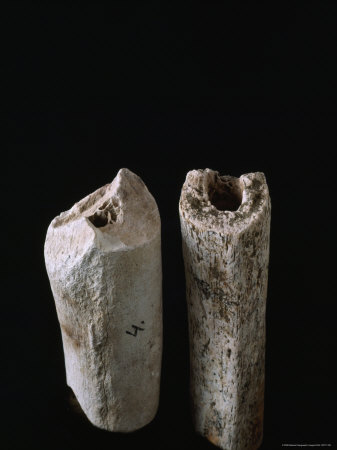 Buy The Femur of a Neandertal (Left) from Krapina Dwarfs That of a Modern Weight Lifter at AllPosters.com