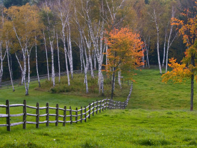 Rural Landscape, East Arlington, Vermont, USA
