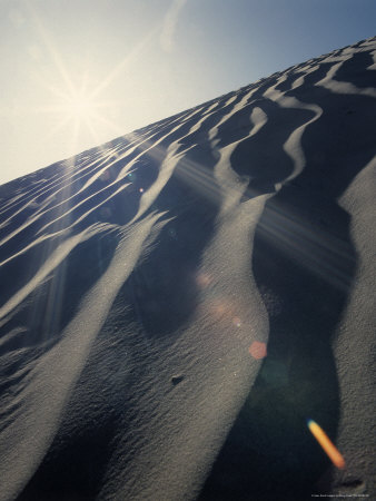 Patterns in Sand Dune