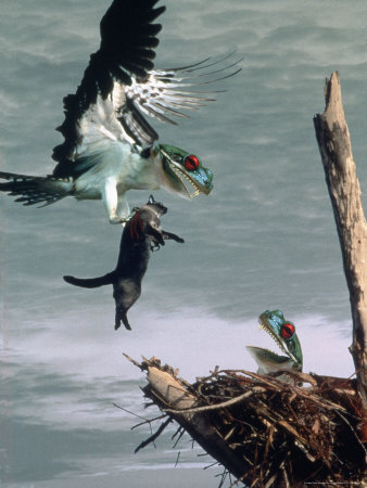 Buy Bird with Lizard Head and Prey at AllPosters.com