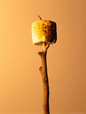 Roasted Marshmallow on a Stick
