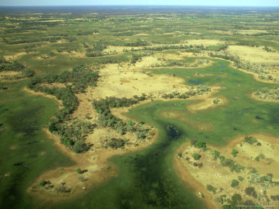 Affordable flights ticket prices Okavango Delta, Botswana
