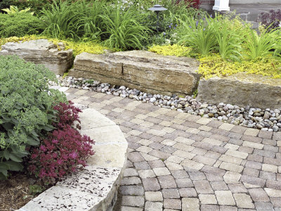 A Garden Path