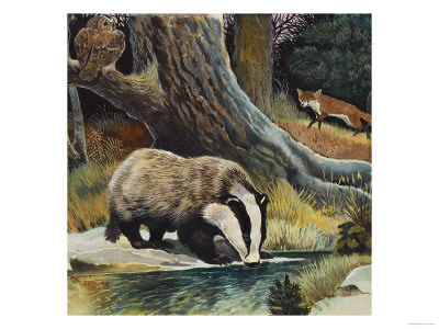 Badger, Fox, Owl and Mouse