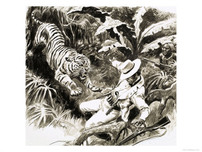 Tiger Attacking Hunter
