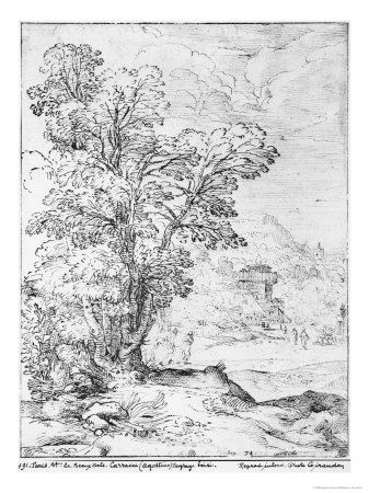 Wooded Landscape