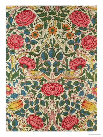 Rose, 1883