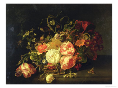 Flowers and Insects, 1711